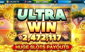 80bet